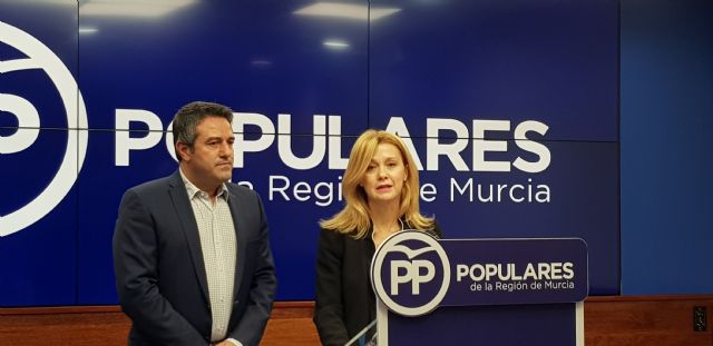 El PP reivindica en el Senado 'la implantación de una nueva comisaría de la Policía Nacional en Alcantarilla'