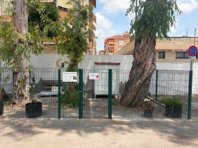 Alcantarilla lanza una campa&ntilde;a para acercar a los ciudadanos la gestión de las colonias felinas