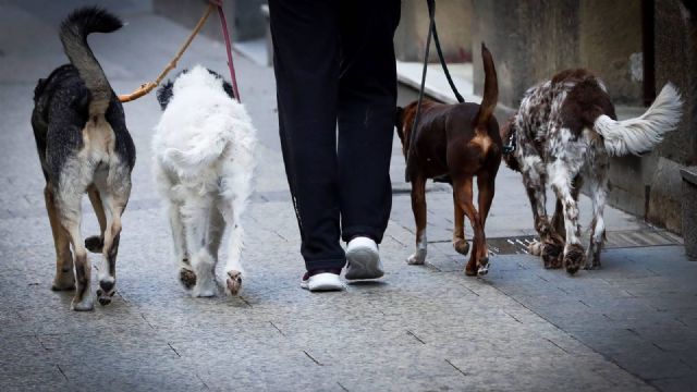 Los dueños de animales de compañía tendrán que llevar un recipiente con agua y vinagre diluido para limpiar la orina