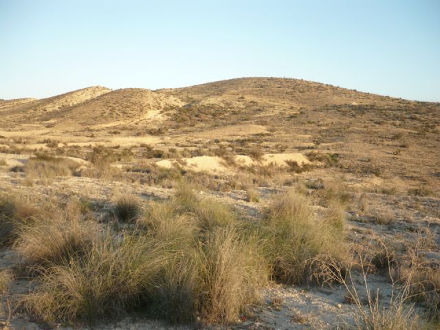 El PSOE denuncia la desaparición de dieciocho hectáreas de hábitats de interés comunitario en el paraje de Las Cumbres de Alcantarilla