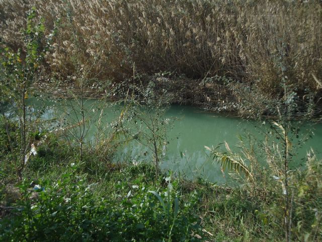 Educación ambiental y recuperación del bosque de ribera en la Contraparada con el Centro Concertado de Enseñanza Samaniego de Alcantarilla