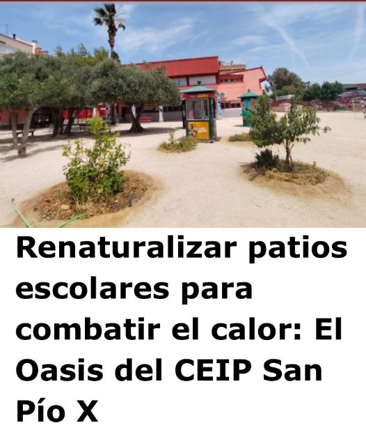 Lara Hernández propone crear el programa municipal 'patios vivos'