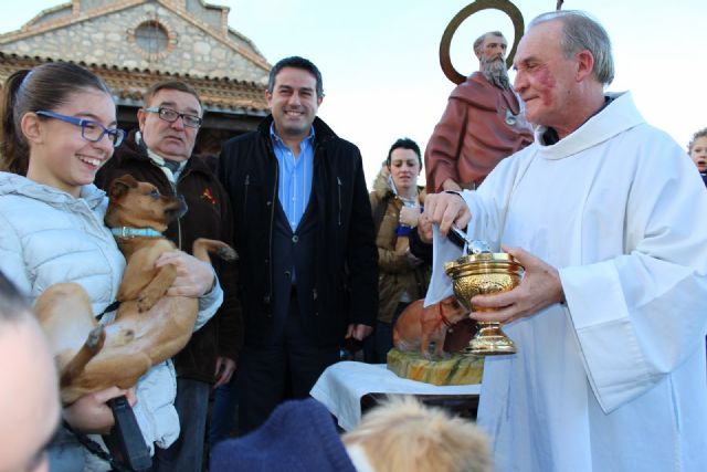 Alcantarilla recupera la procesión de San Antón que no se realizaba desde hace 15 años