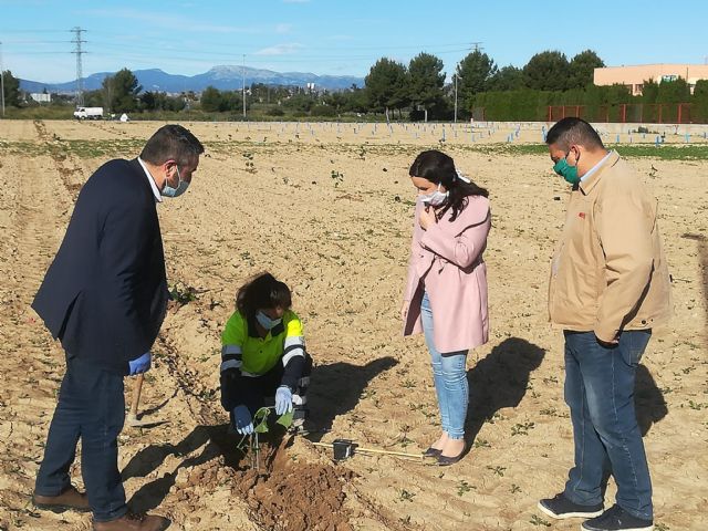 El AMPA del colegio Sagrado Corazón de Jesús de Alcantarilla se suma al proyecto municipal Kiri Urban Forest con la plantación de 600 árboles