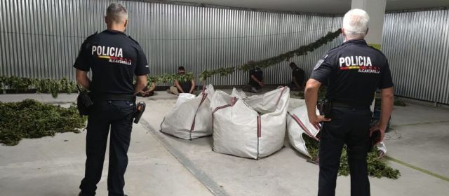 La Policía Local de Alcantarilla incauta 200 kilos de marihuana en el sótano de un edificio de la Calle Mayor